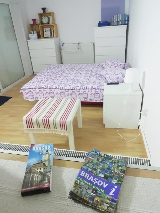 Studio Moliere Appartement Braşov Buitenkant foto