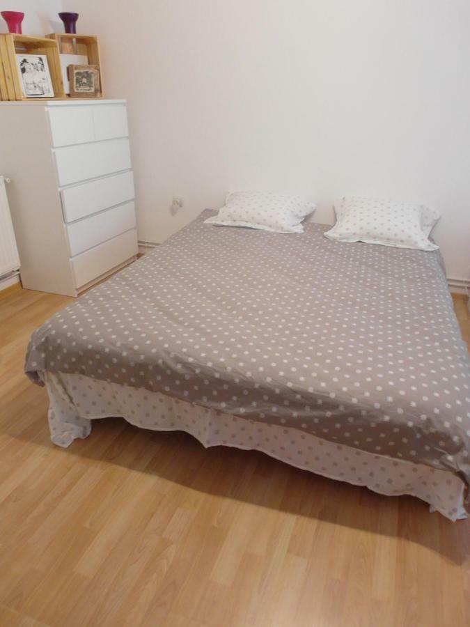 Studio Moliere Appartement Braşov Buitenkant foto