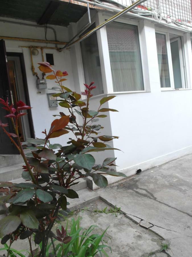 Studio Moliere Appartement Braşov Buitenkant foto